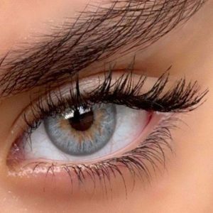 اتلانتیس فصلی