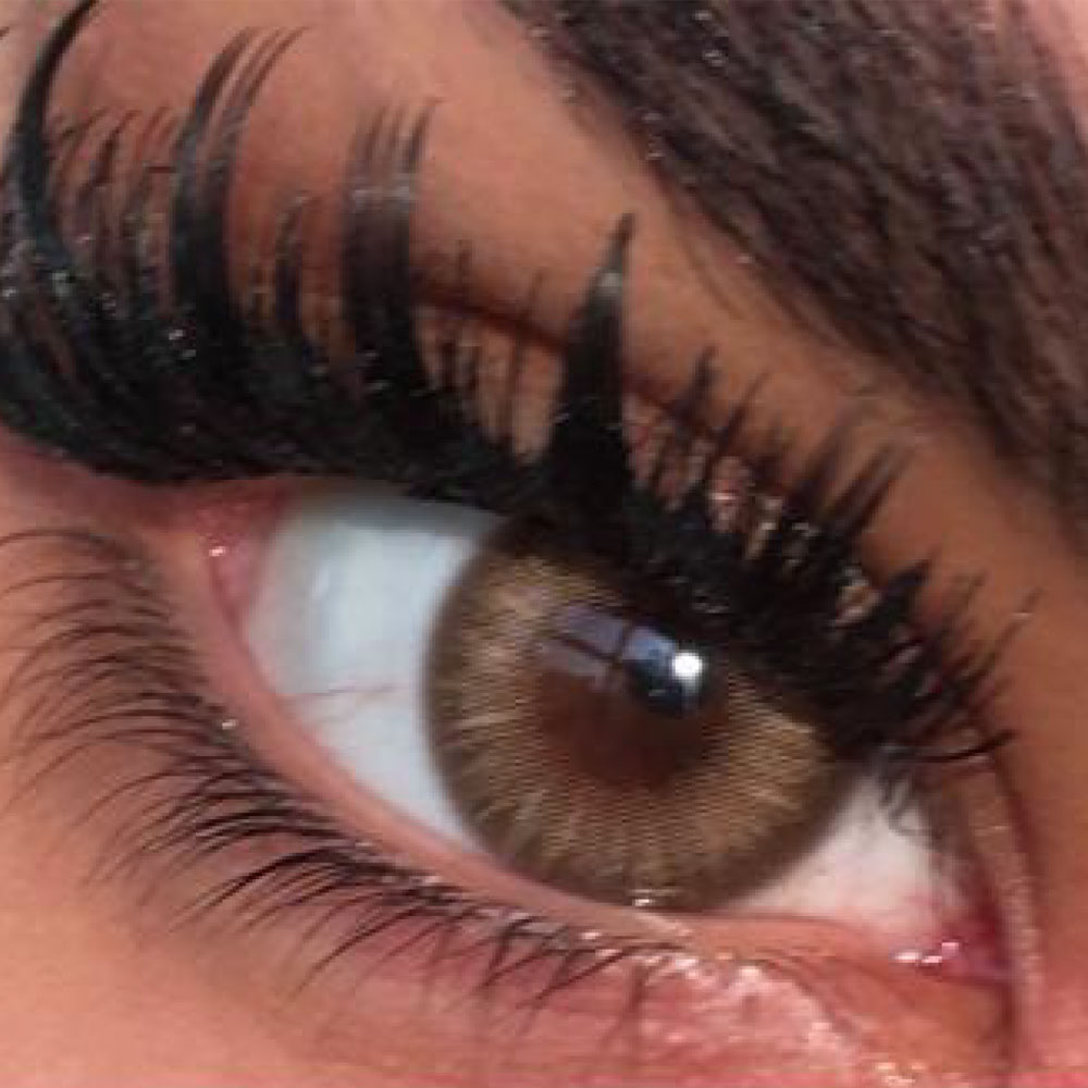 الموند-براون الموند براون