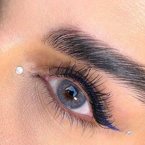 ایفوریا آبی عسلی