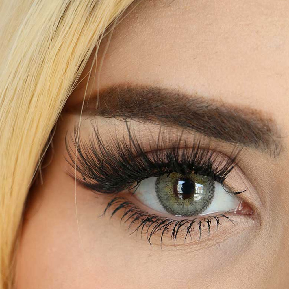 شد-ایفور ایفوریا